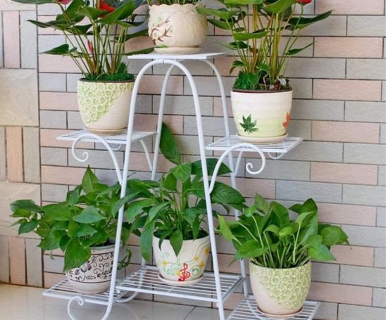 small plant stand indoor