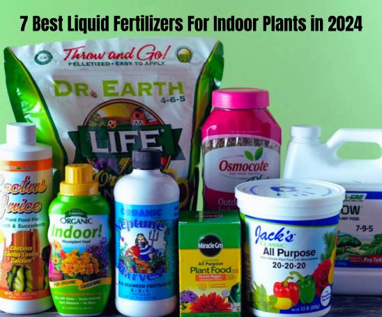  best liquid fertilizer for indoor plants