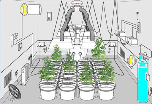 The Most Basic Indoor Grow Setup