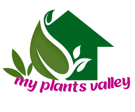 My Plants Valley