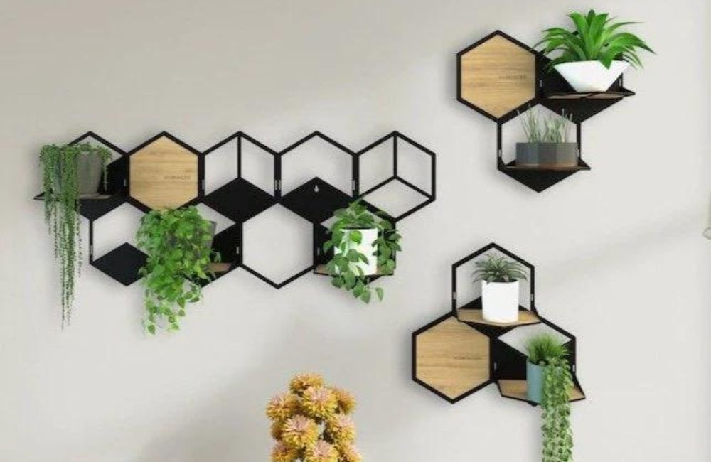 wall plant holders indoor