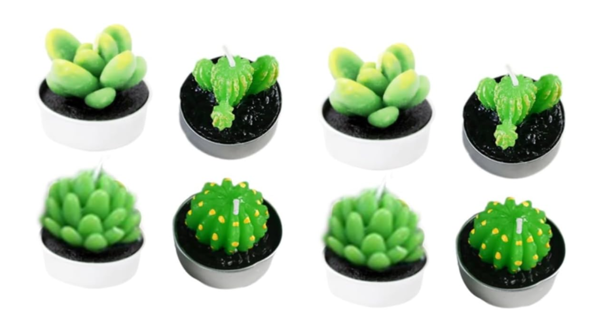 Succulent Candles: A Blend of Nature and Tranquility