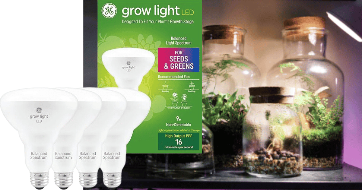 Cultivate Success with GE Grow LED Light Bulbs