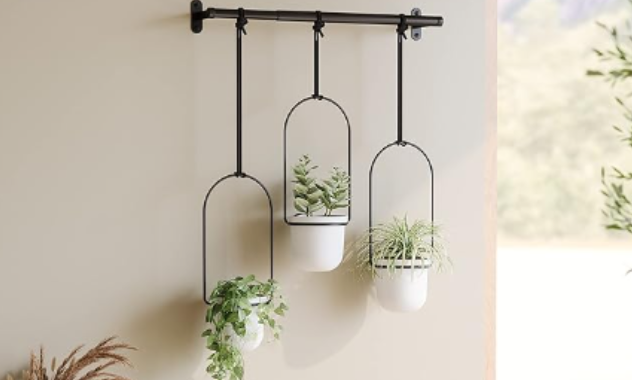Umbra Triflora Hanging Planter for Window, Indoor Herb Garden, White/Black, Triple review 2024