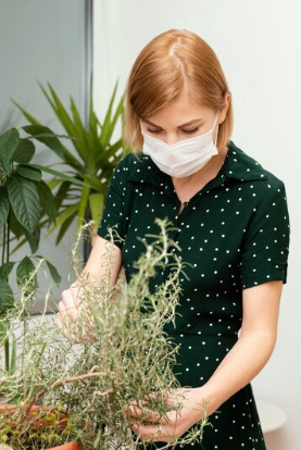 Preparing to Pollinate Your Indoor Plants