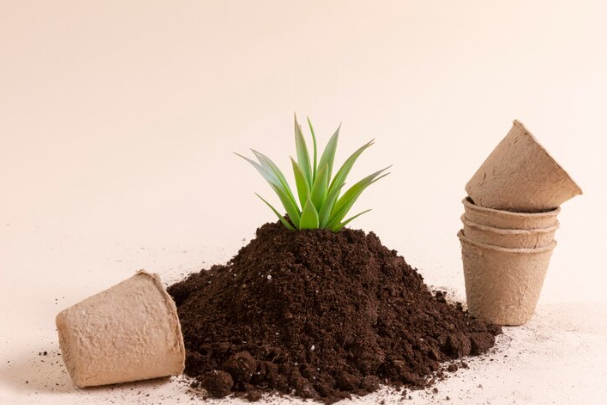 Is there a difference between indoor and outdoor potting soil?