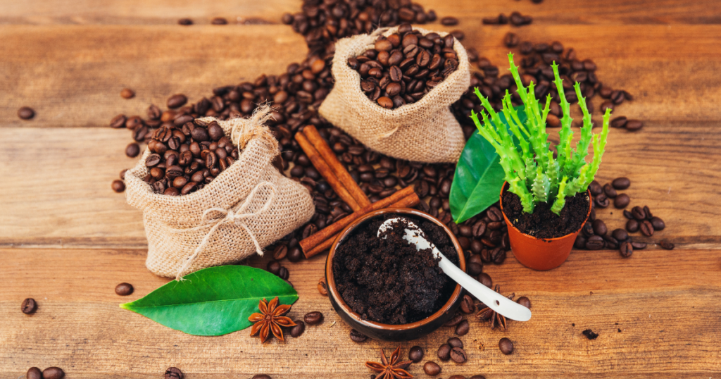 Is coffee good for all houseplants?