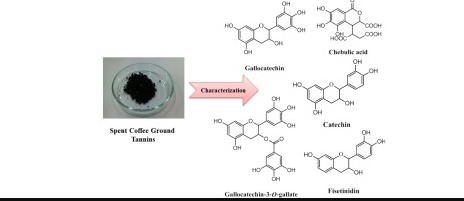 structure of coffee