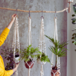 how to hanging plants indoor