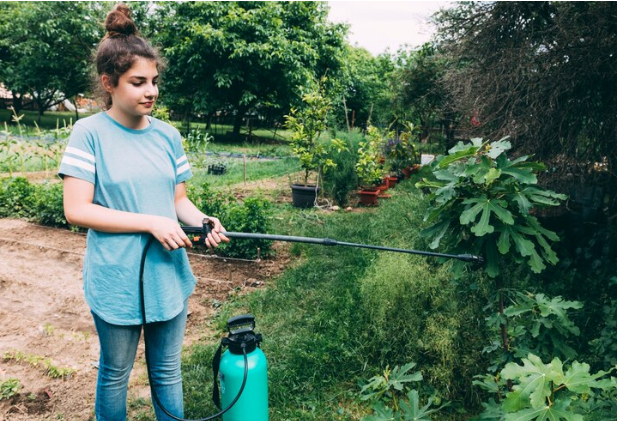 Challenges of Watering Without a Hose