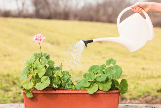 Manual Watering Methods