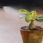 can i use liquid nitrogen fertilizer in a hose sprayer