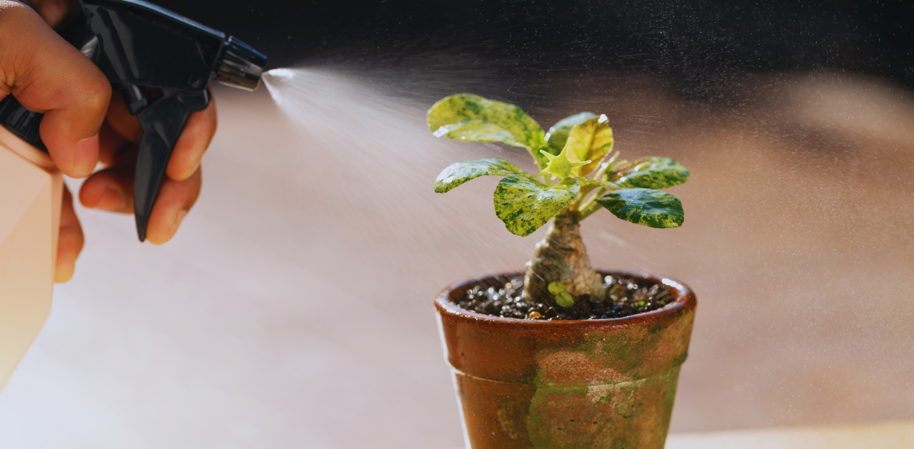 can i use liquid nitrogen fertilizer in a hose sprayer