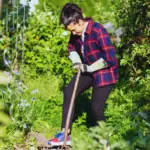 early summer gardening