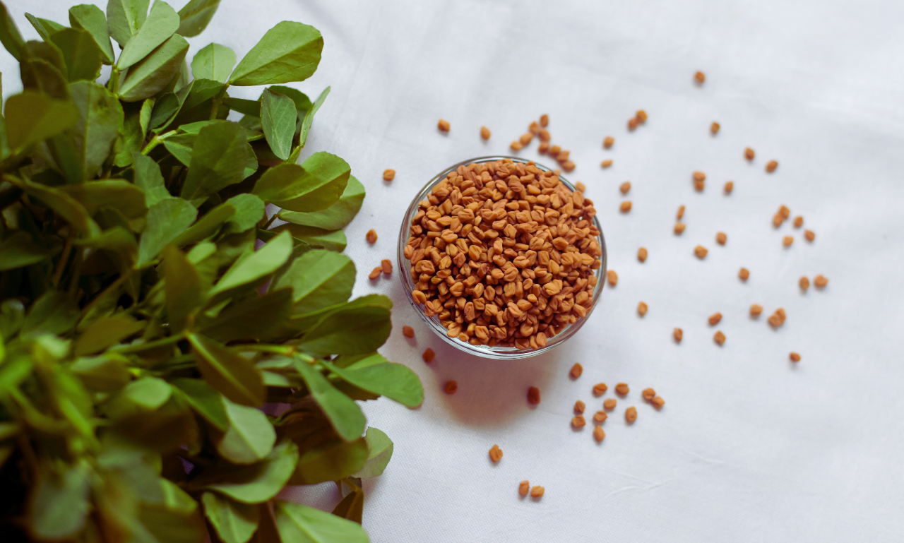 methi plants inddor