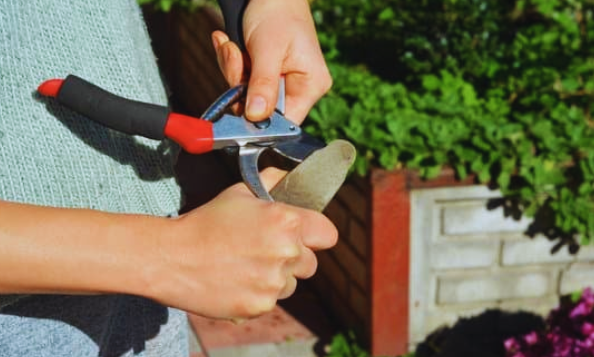 Preparing Your Garden Shears for Sharpening