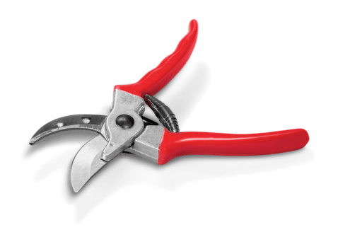 Why Sharpening Garden Shears Matters