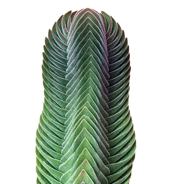 Propagation Methods