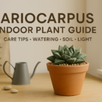 Ariocarpus Indoors