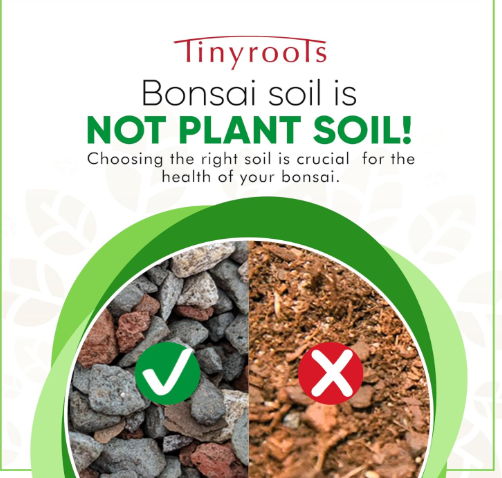 Who Should Use This Soil Mix?