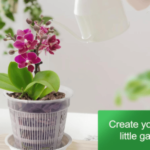 Why Do Orchid Pots Have Holes? (Complete Guide for Healthy Roots & Thriving Blooms)