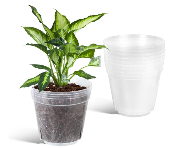 The Role of Drainage in Orchid Pots