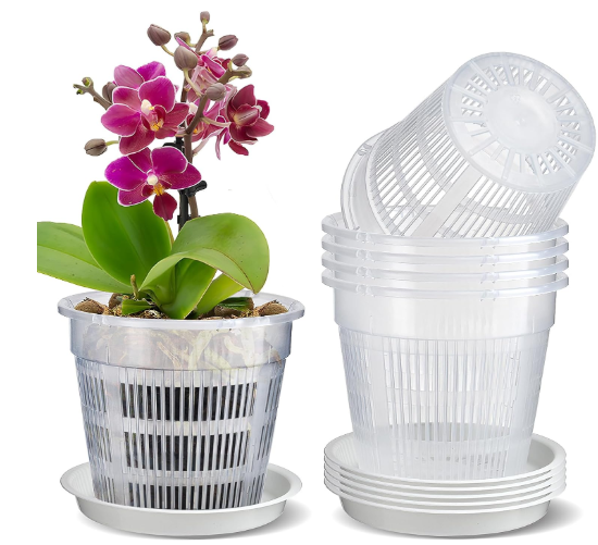 Types of Holes in Orchid Pots
