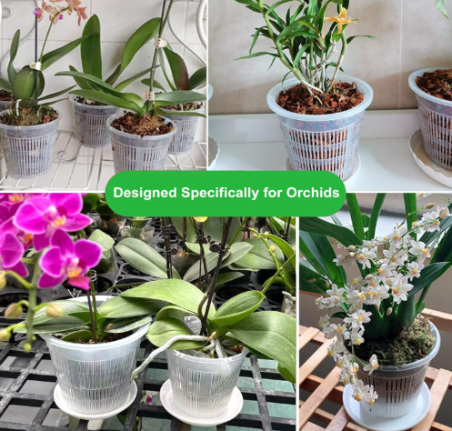 Difference Between Regular and Orchid Pots