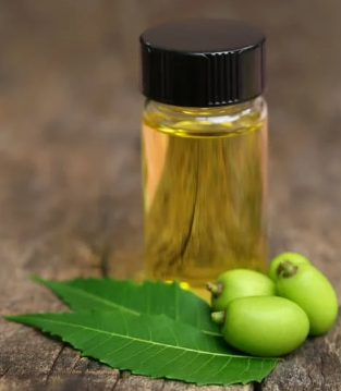 What is Neem Oil?