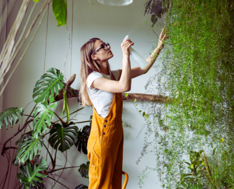 Selecting the Right Watering Tools