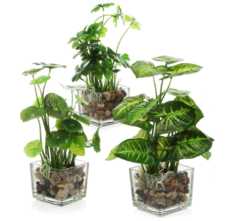 Product Specifications of my gift 3 fake plants
