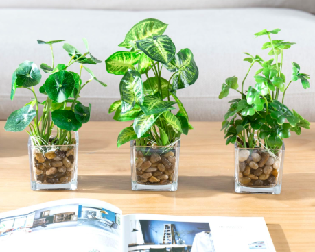 My First Impression of the MyGift Set 3 fake plants 