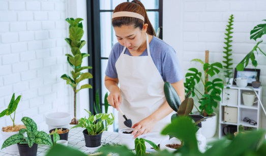 Understanding the Purpose of Repotting