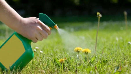 What Are Weed Killers?