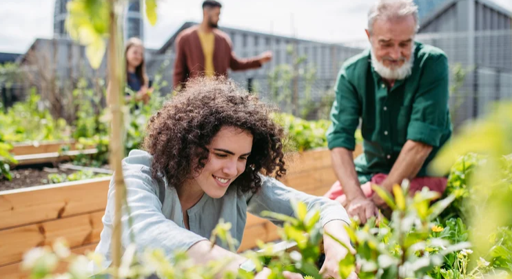 Safety Concerns for Vegetable Gardens