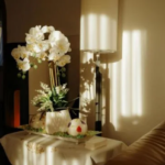 orchid alive