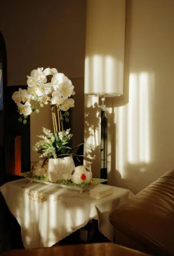 orchid alive