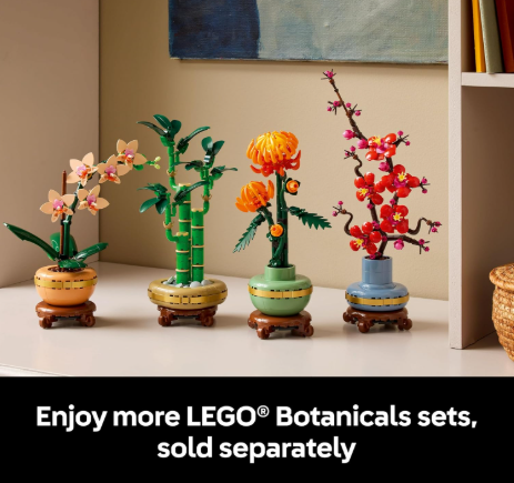 Size and Dimensions – Perfect Fit for Any Space