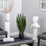 https://myplantsvalley.com/nearly-natural-35in-sansevieria-with-black-planter-review-a-stylish-realistic/