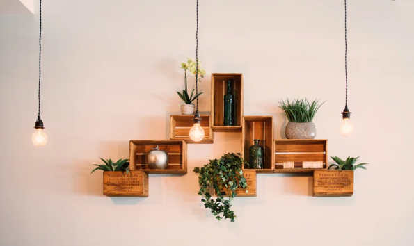Why Plant Shelves Are Perfect for Small Spaces