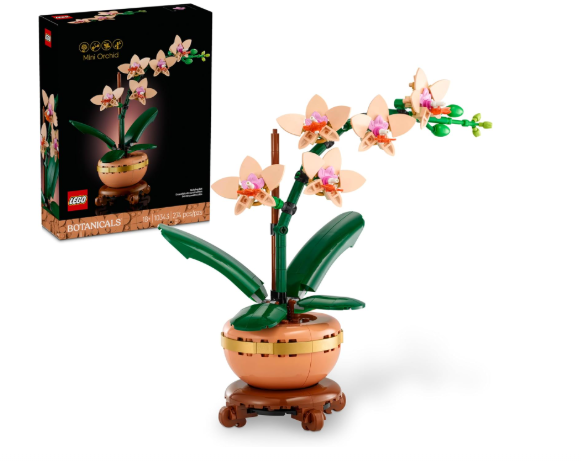 Design and Realism of the Orchid