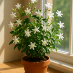 Jasmine Flower Indoor Plant – Complete Guide to Growing Jasmine Indoors