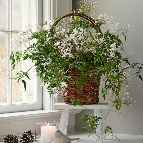 Common Problems & Solutions