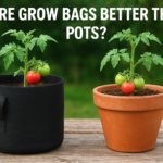 Are Grow Bags Better Than Pots? A Complete Guide for Gardeners