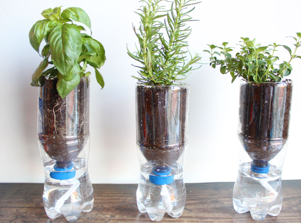 Indoor vs Outdoor Use of Self Watering Planters