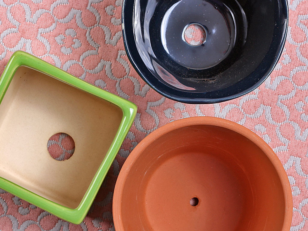 Best Pot Types for Succulents