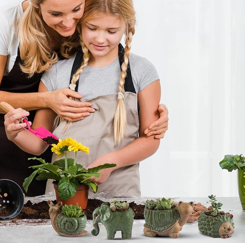 My Impression as a Plant Lover