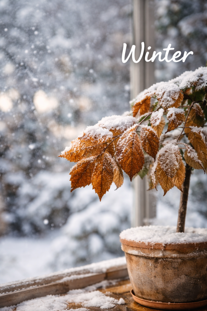 Winter Leaf Survival Strategies