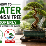How to Water a Bonsai Tree Properly (Common Mistakes to Avoid)